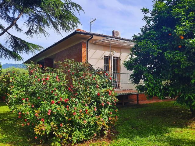 Villa Indipendente in affitto a Ripa, Seravezza