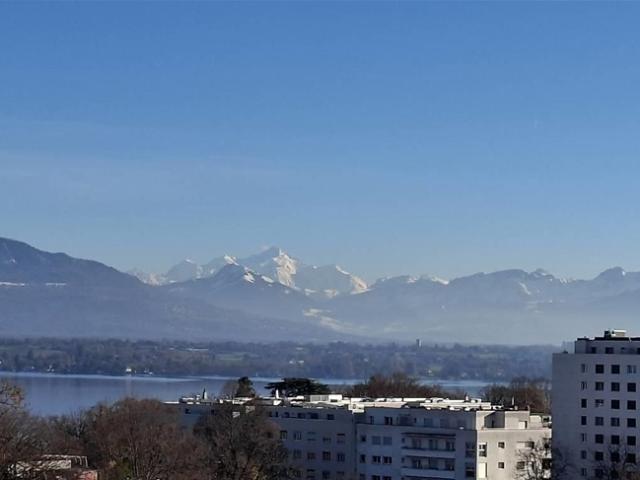 Wohnung mieten in Versoix