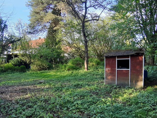 Erdgeschosswohnung kaufen in Alexandersfeld, Oldenburg