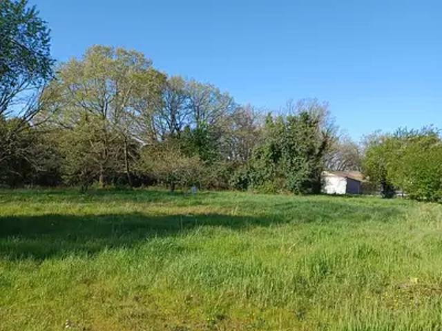 Terrain vente à Lesparre-Médoc, Vertheuil
