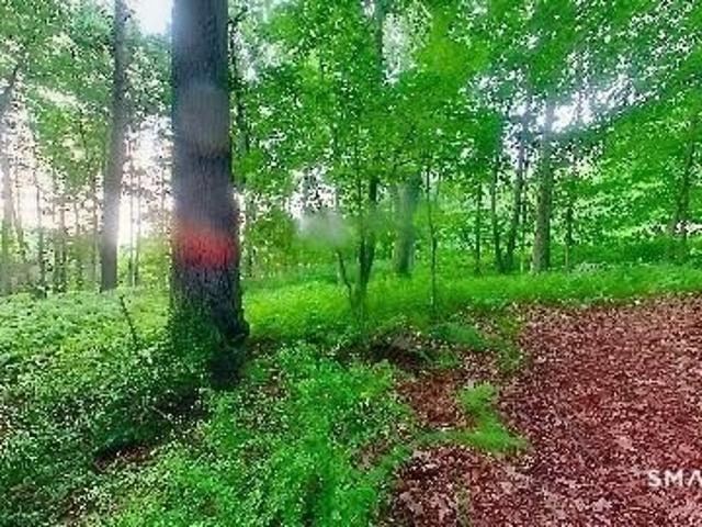 Land for sale in Avon, Connecticut