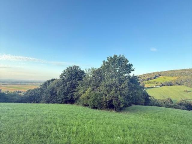Landwirtschaft kaufen in Königstetten, Niederösterreich