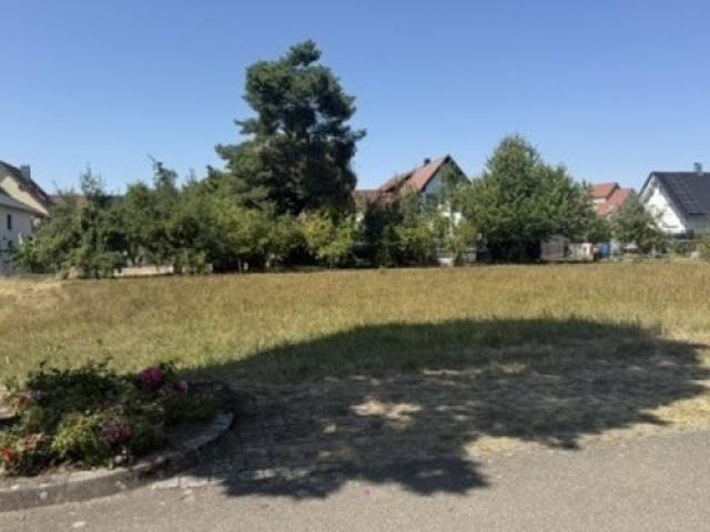 Erdgeschosswohnung kaufen in Schutterwald, Ortenaukreis