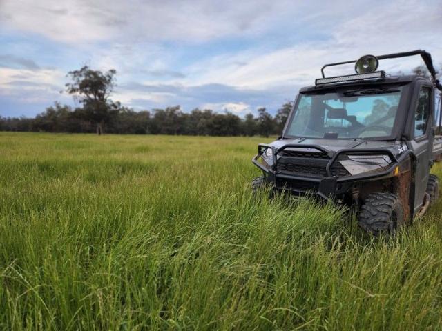 Property for sale in Trundle, New South Wales