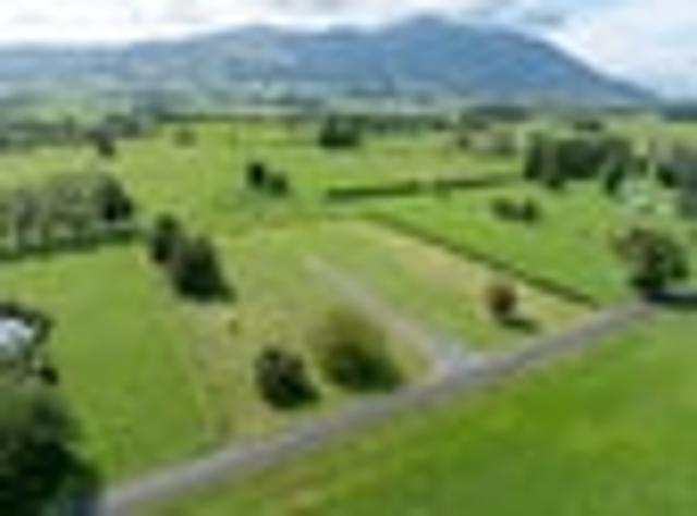Land for sale in Waikato
