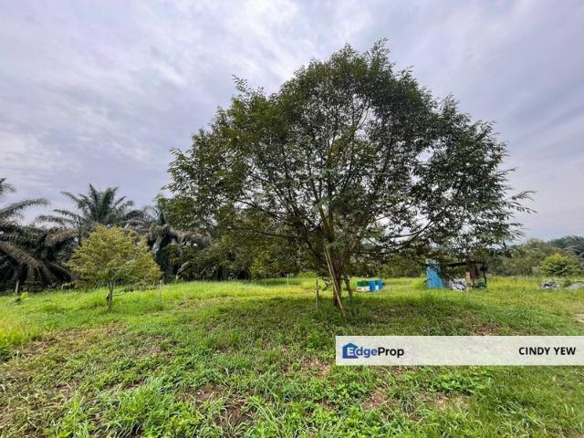 Shop for sale in Perak