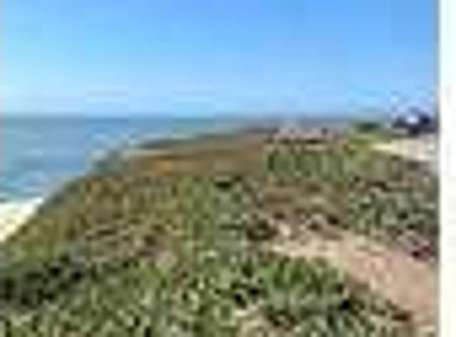 House for rent in Santa Cruz, California