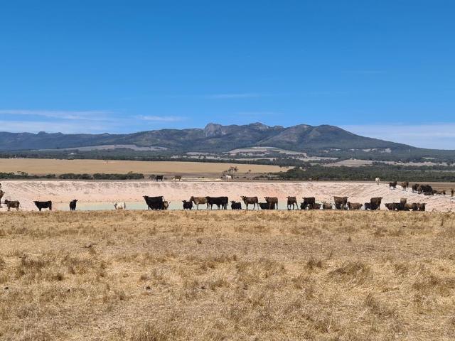Cottage for sale in Porongurup