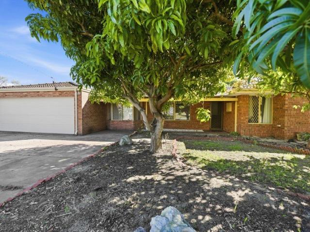 House for rent in High Wycombe, Western Australia