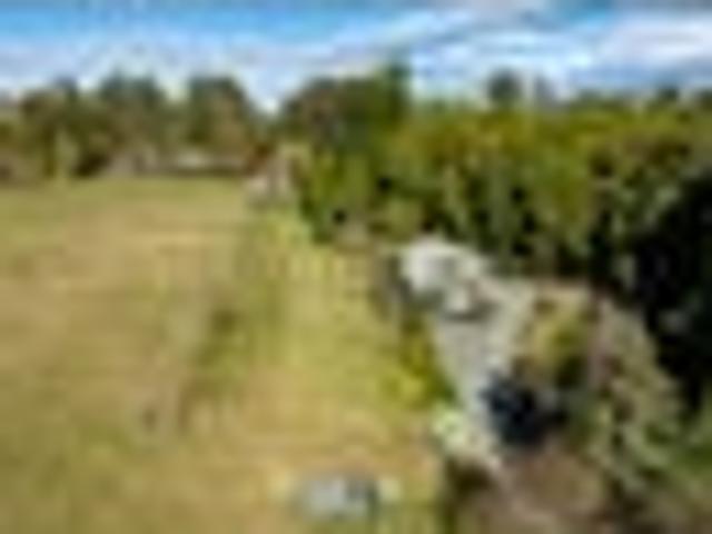 House for sale in Mapua, Tasman