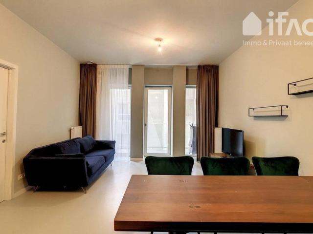 Kot location à Brussel, Bruxelles