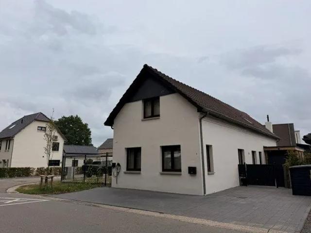 Maison location à Maaseik, Limburg