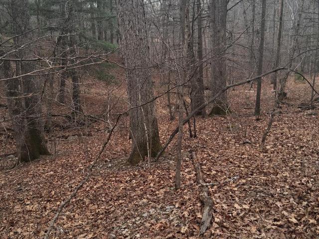 Land for sale in Virginia