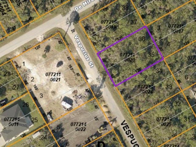 Land for sale in Florida