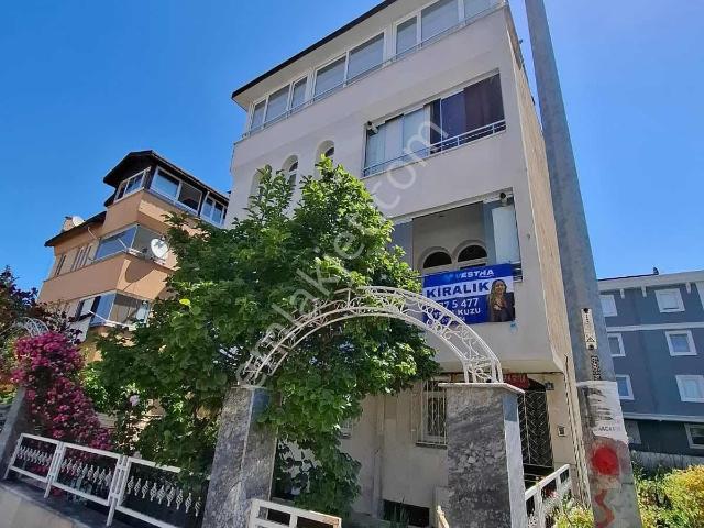 Ordu içerisinde kiralık mülk