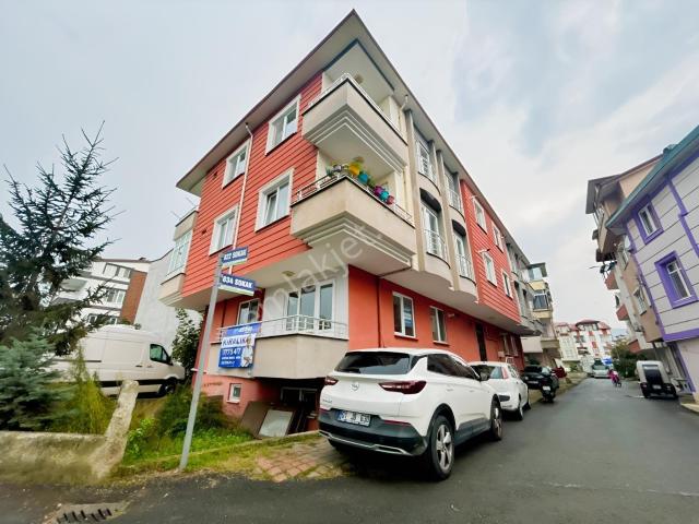 Ordu, Altınordu içerisinde kiralık mülk
