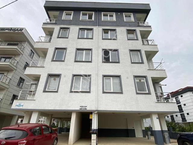 Ordu içerisinde kiralık mülk