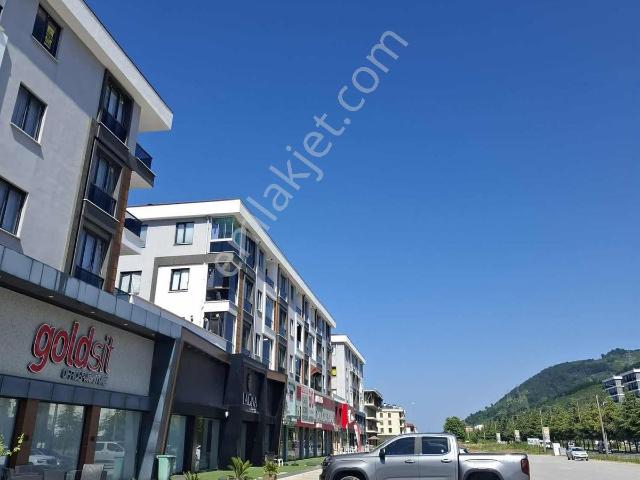 Ordu içerisinde kiralık mülk