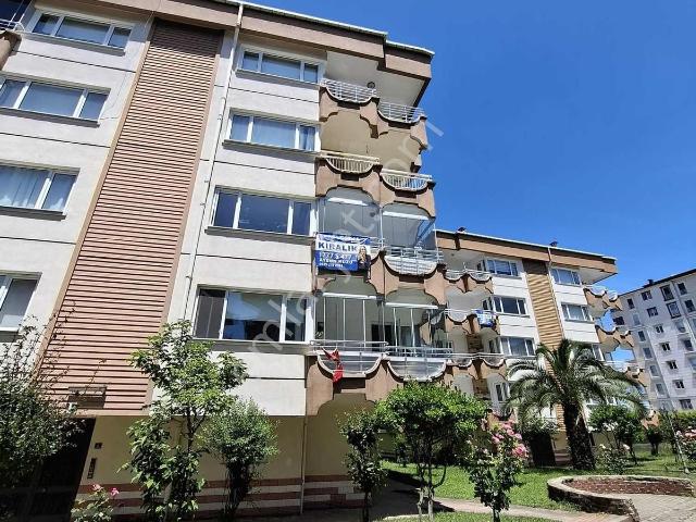 Ordu içerisinde kiralık mülk