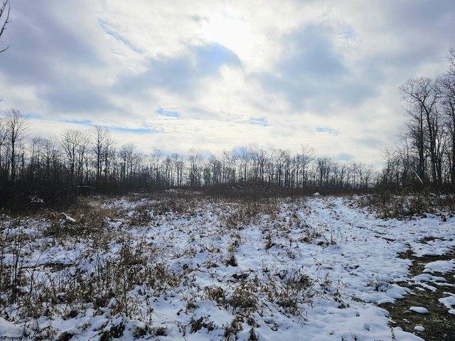 Land for sale in Kingwood, West Virginia