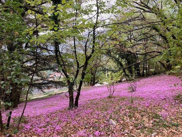 Terrain vente à Grenoble, Veurey-voroize