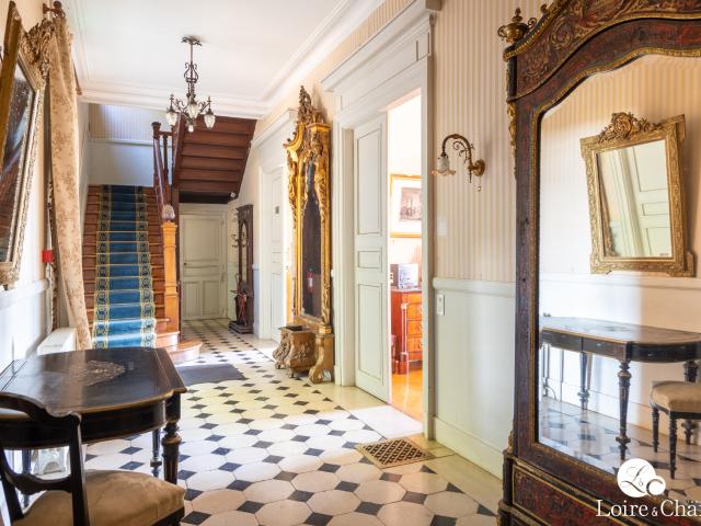 Château vente à Blois, Onzain