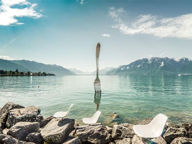 Einfamilienhaus kaufen in Vevey, Waadt