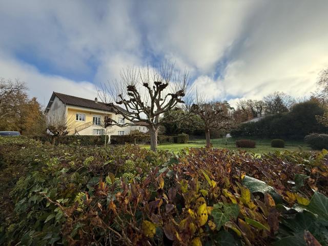 Maison vente à Limoges, Veyrac