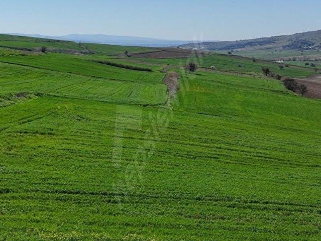 Sütlüce, Gelibolu içerisinde satılık Arsa