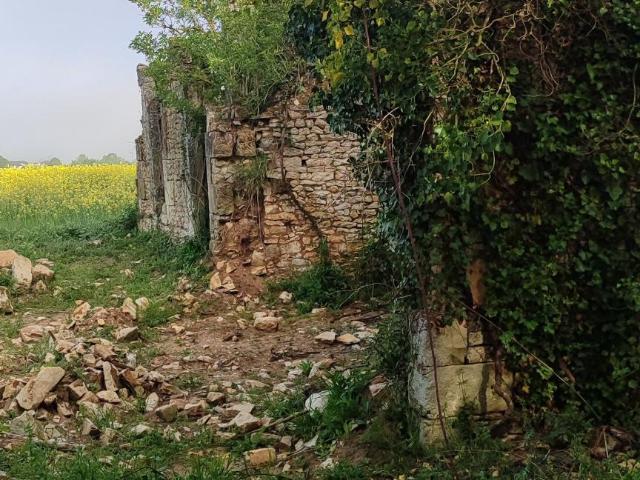Terrain vente à Châtellerault, Vézières
