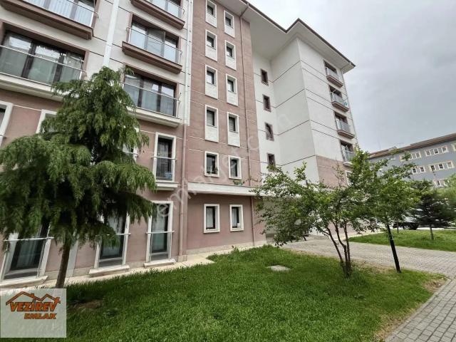 Vezirköprü, Samsun içerisinde kiralık mülk