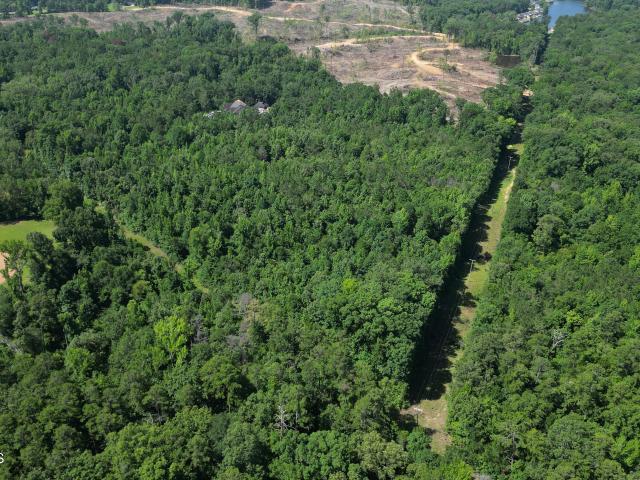 Land for sale in Grenada, Mississippi