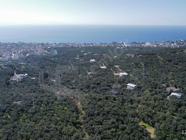 Atatürk Mahallesi, Erdek içerisinde satılık Arsa