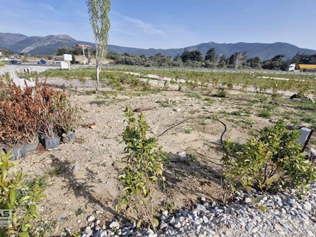 Torbali, İzmir içerisinde satılık Arsa