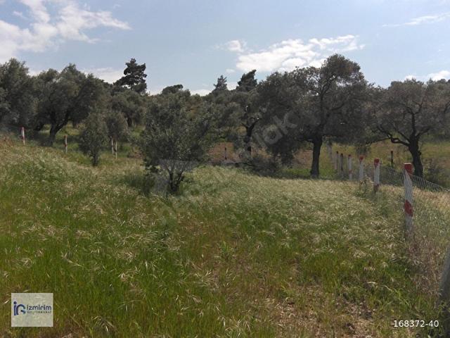 Kemalpaşa, İzmir içerisinde satılık Arsa