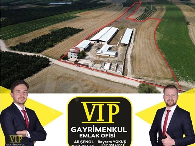 Elmali, Antalya içerisinde satılık Dükkan