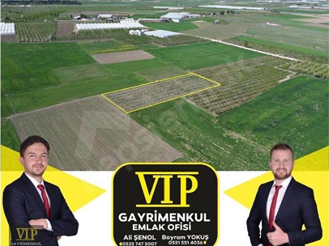 Elmali, Antalya içerisinde satılık Arsa