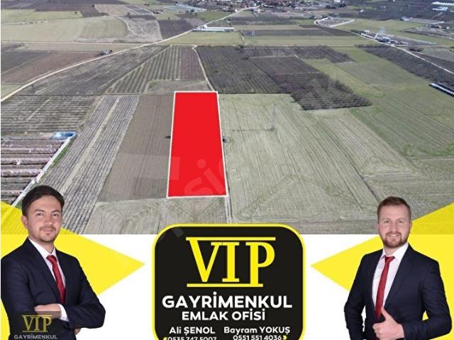 Elmali, Antalya içerisinde satılık Arsa