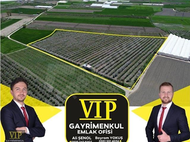 Elmali, Antalya içerisinde satılık Arsa