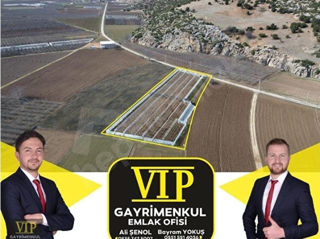 Salur, Elmalı içerisinde satılık mülk
