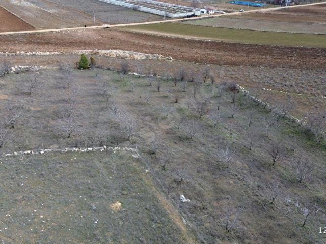 Kışla, Elmalı içerisinde satılık mülk