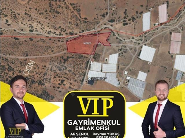 Elmali, Antalya içerisinde satılık Arsa