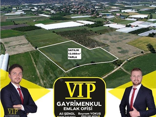 Elmali, Antalya içerisinde satılık Arsa