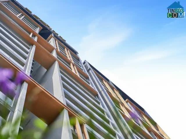 Căn hộ bán tại Thủ Đức, Hồ Chí Minh