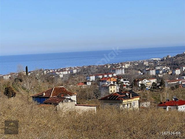 Ordu içerisinde satılık mülk