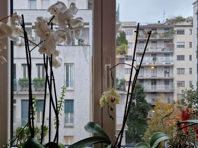 Appartamento in affitto a Sotto Il Monte Giovanni, Lombardia
