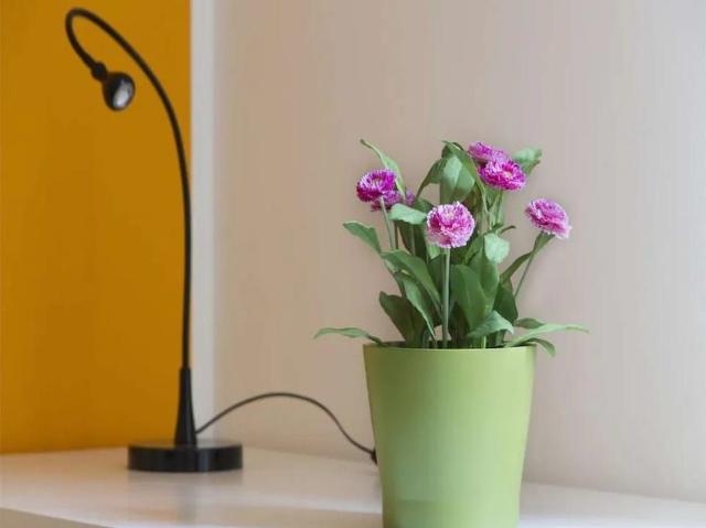 Appartamento in affitto a Municipio 6, Milano