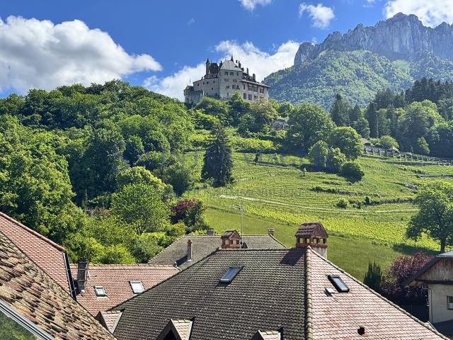 Maison vente à Annecy, Menthon-saint-bernard