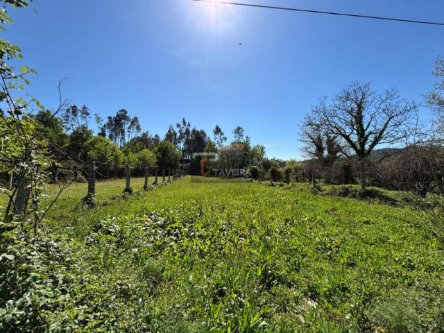 Terreno venda em Campos de Sá, Arcos De Valdevez