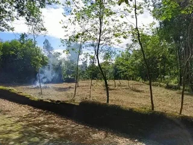 Terreno venda em Viana Do Castelo